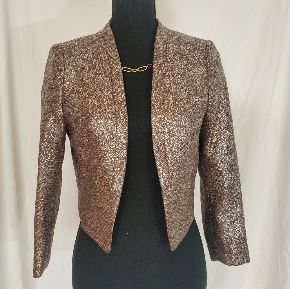 H&M Cropped Metallic Blazer